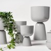 Iittala Nappula lillepott - ideaalne inspireerivate taimeväljapanekute loomiseks